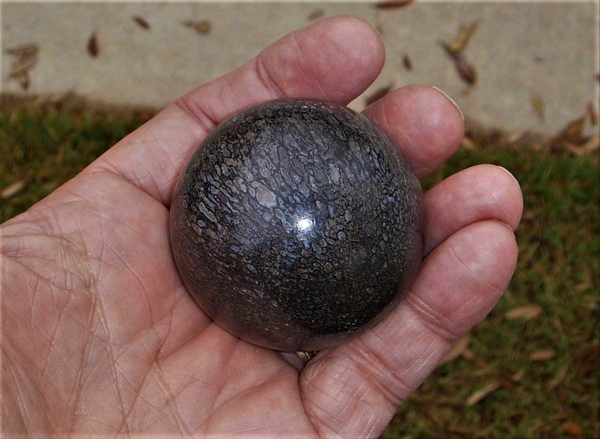 DSCN1681.JPG