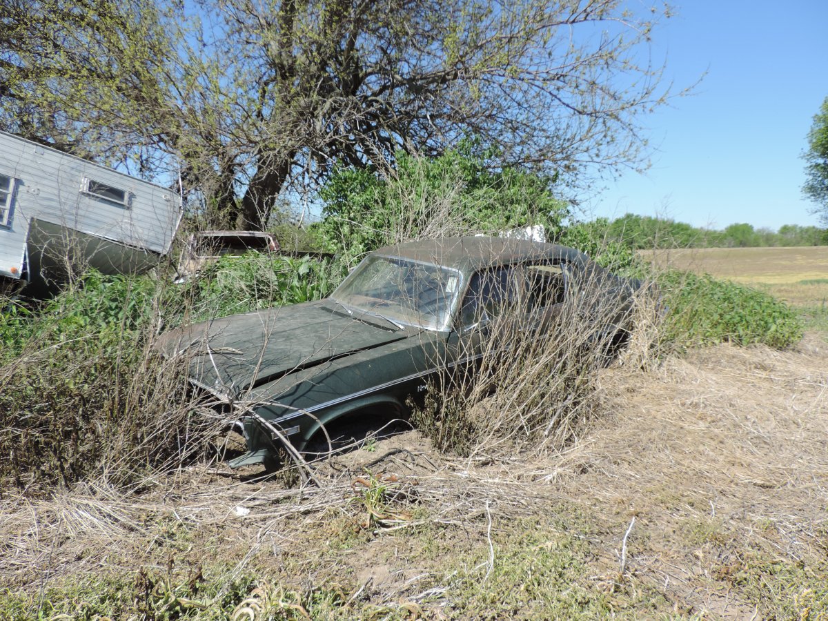 DSCN2945.JPG