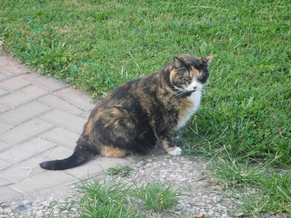 DSCN3119.JPG