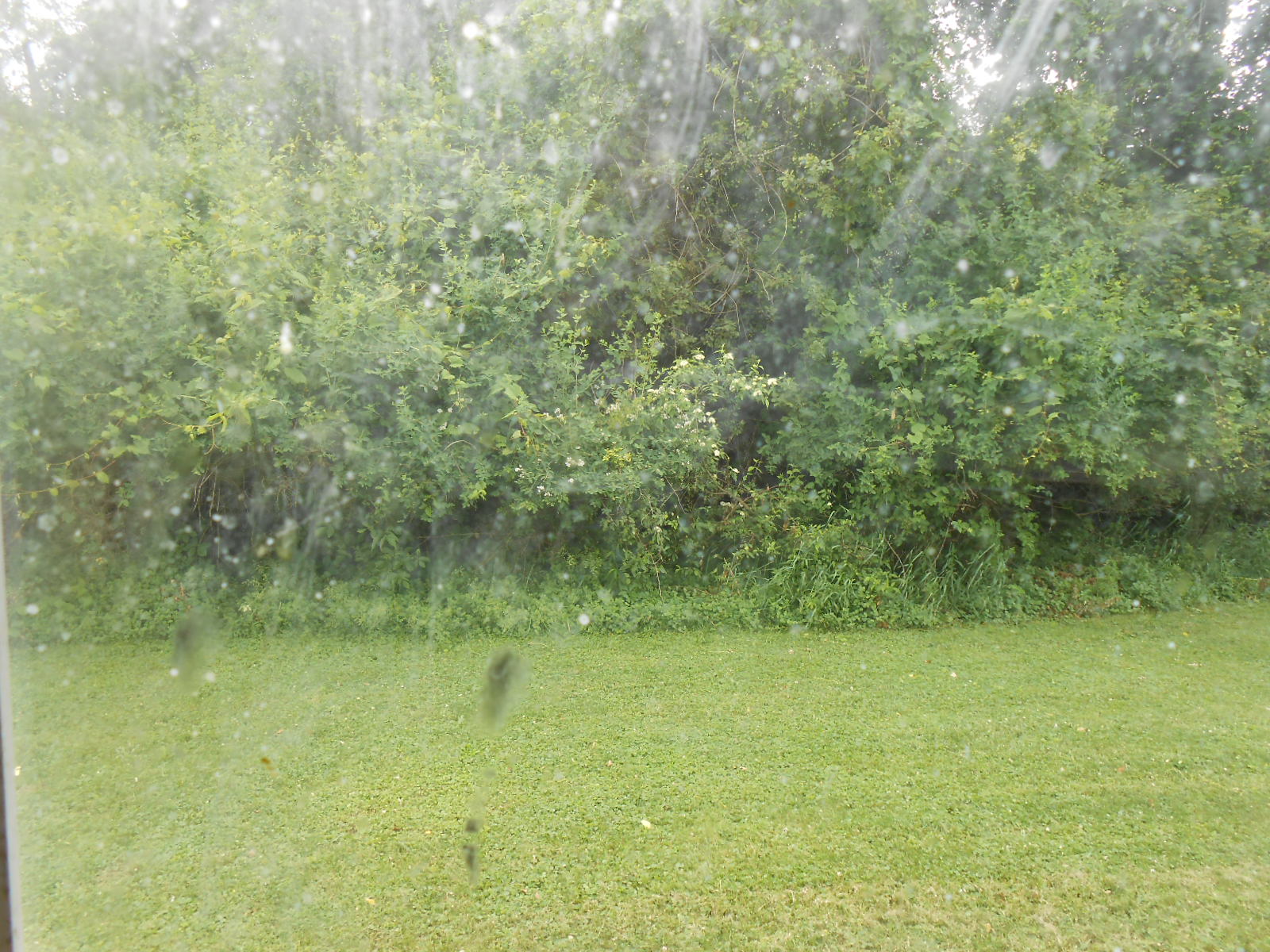DSCN5252.JPG