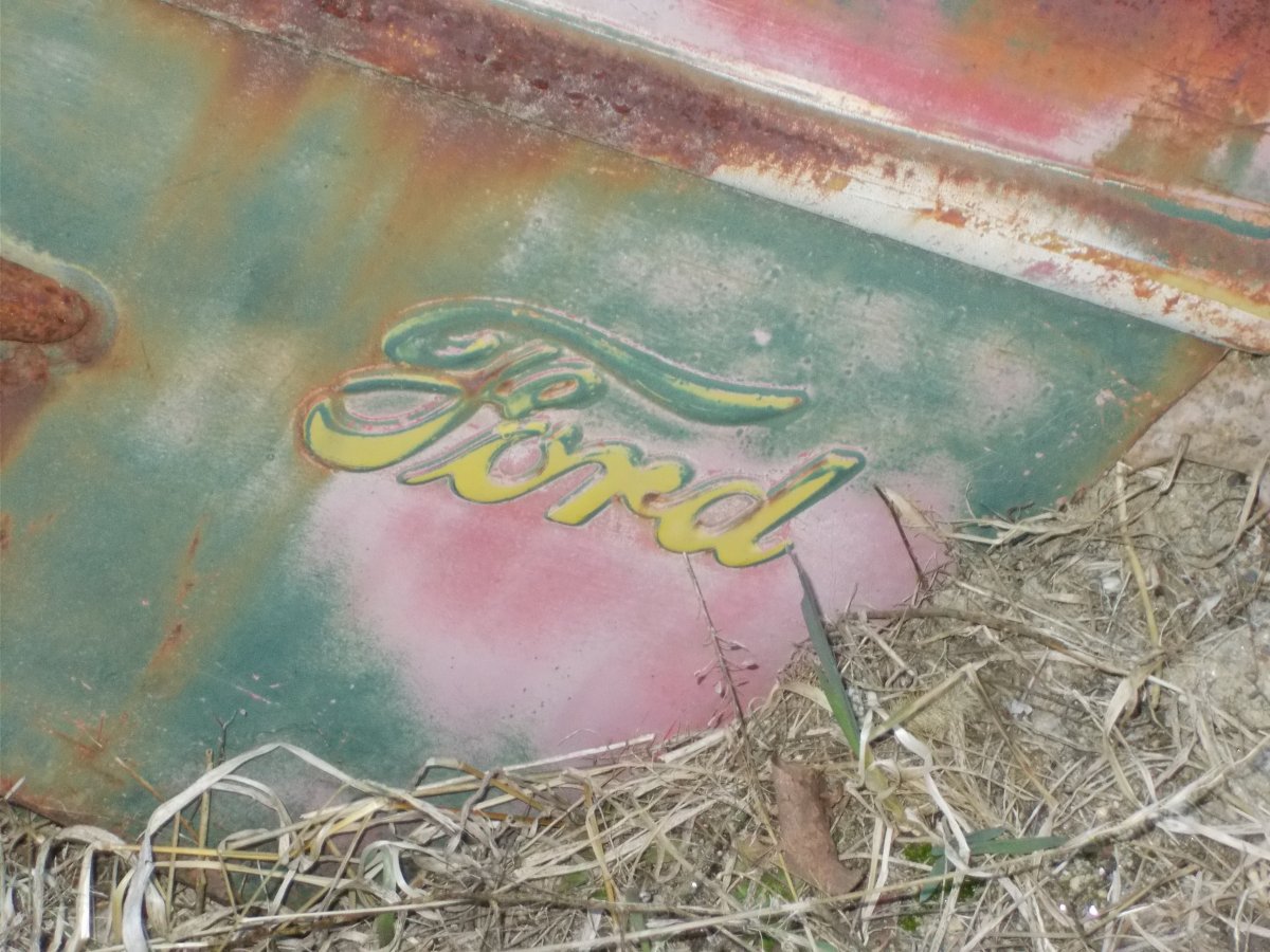 DSCN5638.JPG
