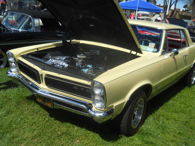 DSCN5731.JPG