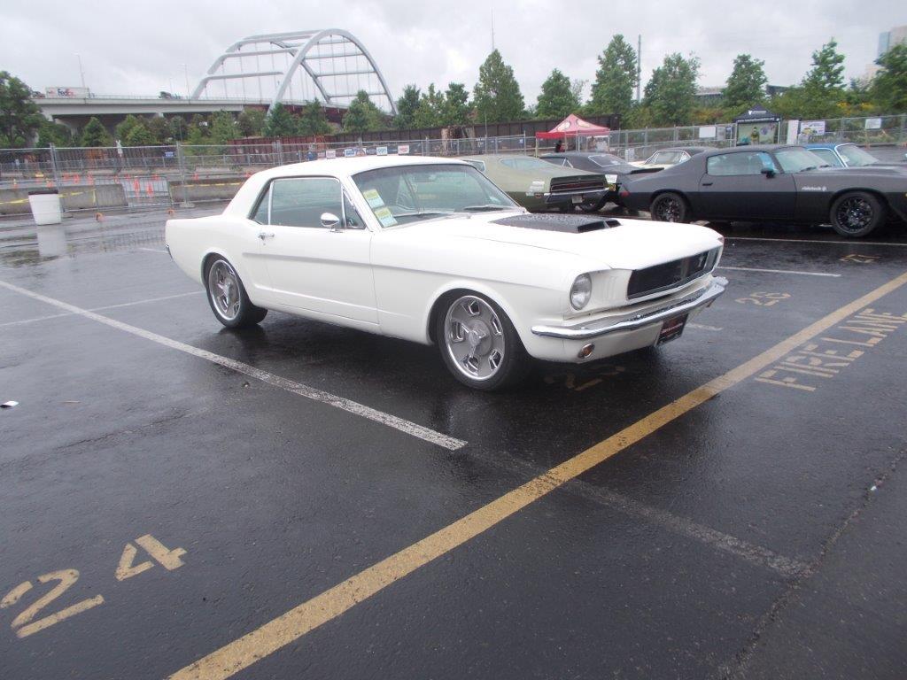 DSCN6061.jpg