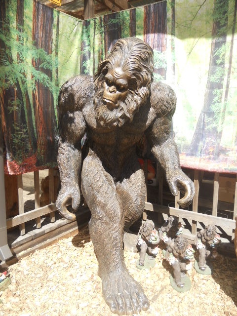DSCN6572.jpg