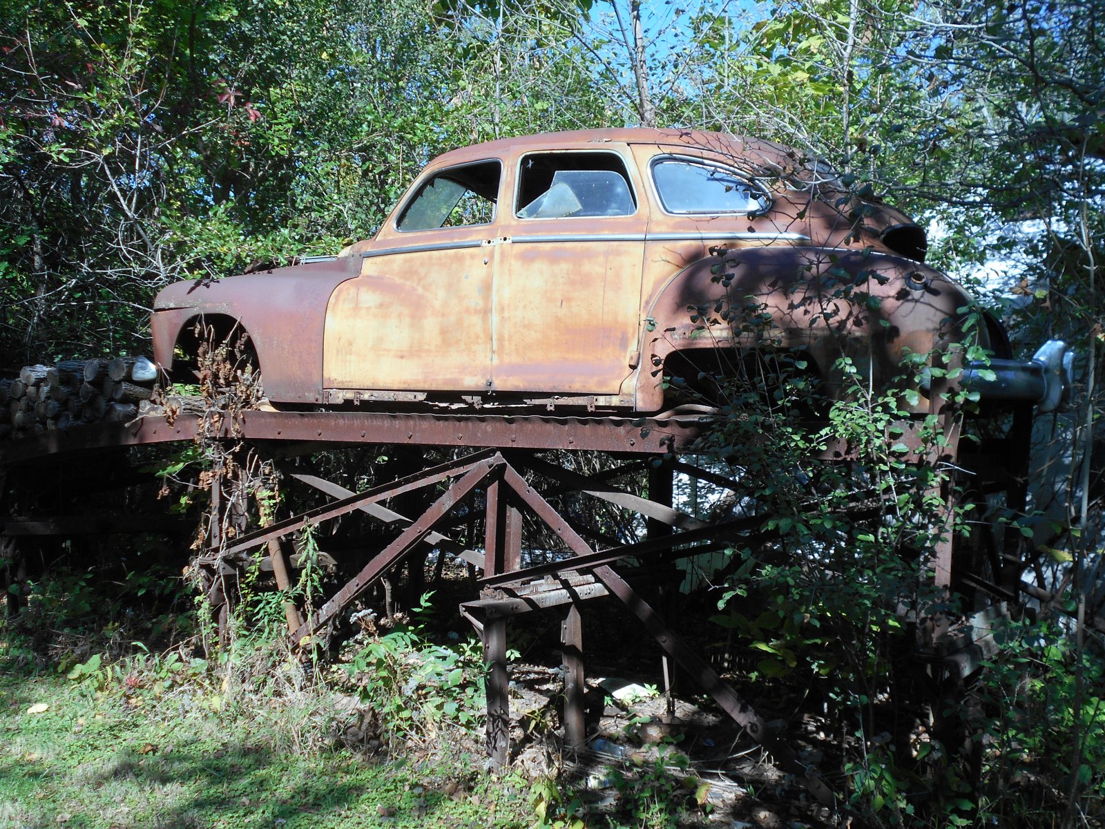 DSCN7031.JPG