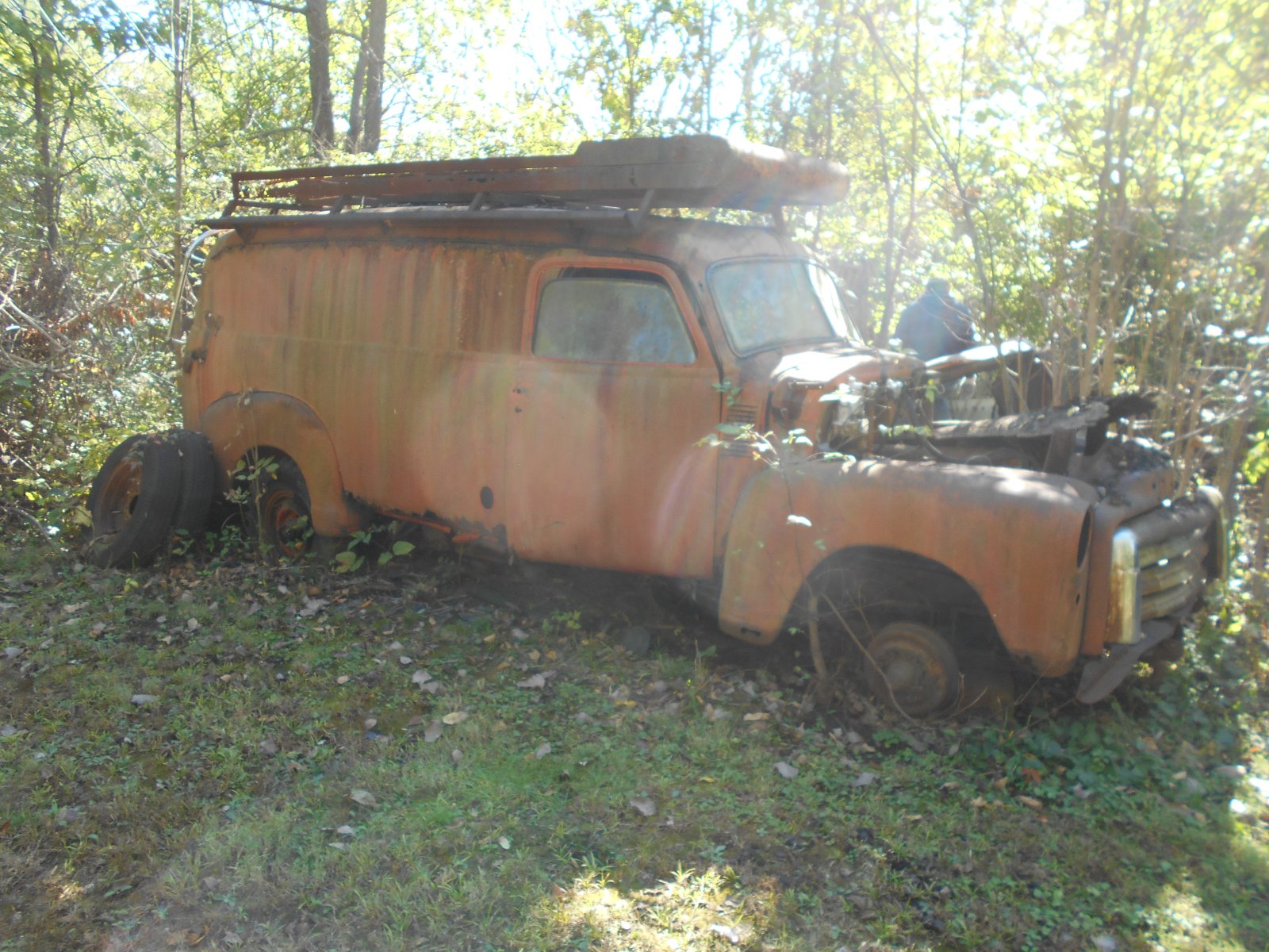 DSCN7033.JPG