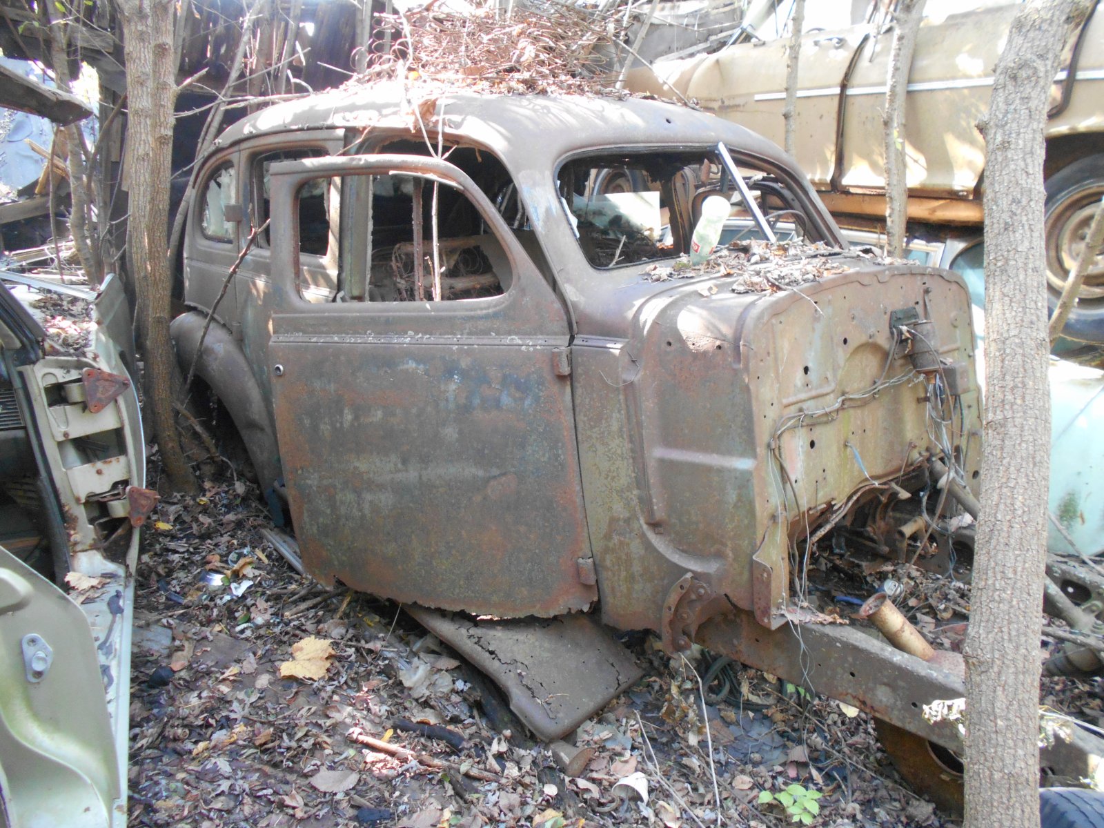 DSCN7038.JPG