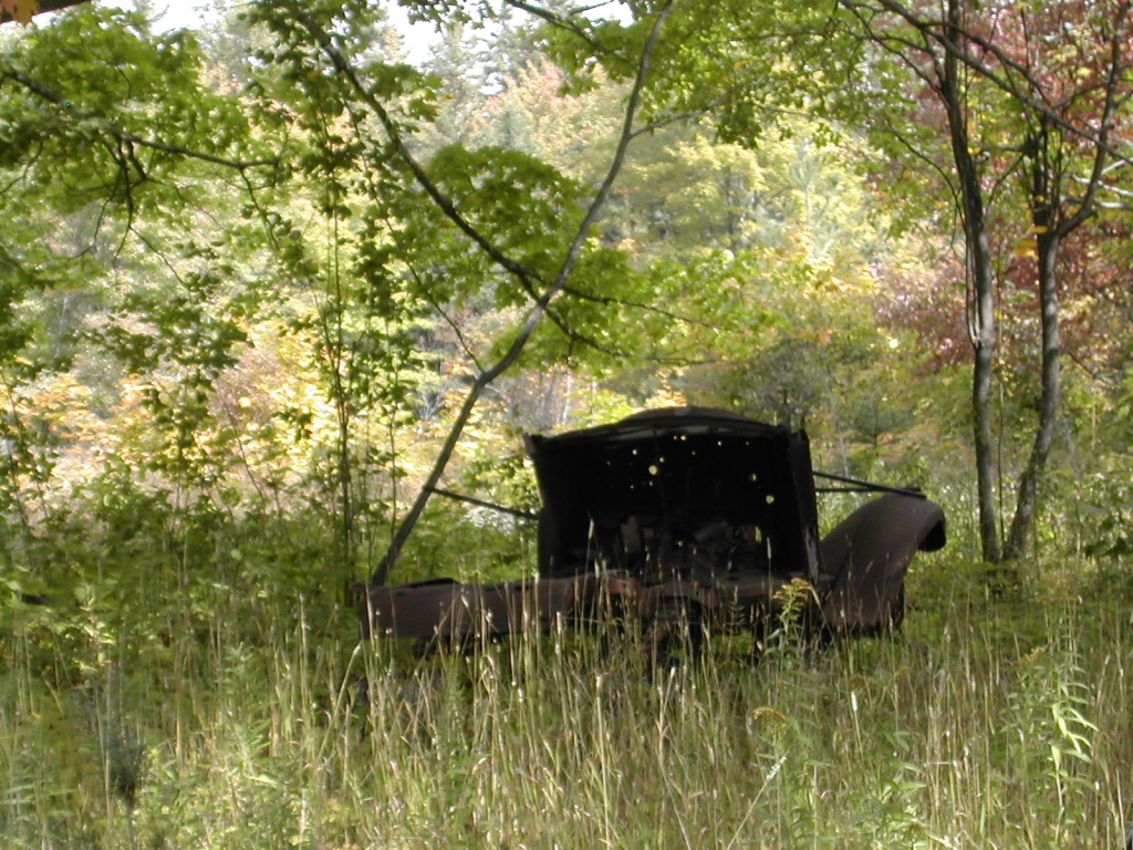 DSCN7105.JPG