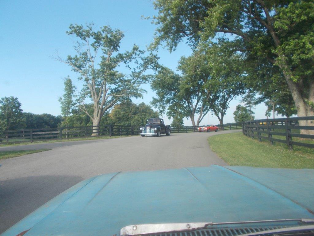 DSCN7646.jpg