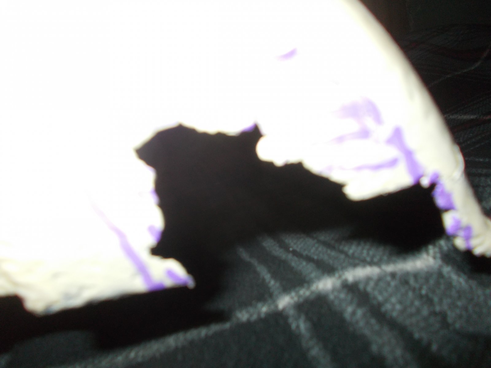 DSCN8096.JPG