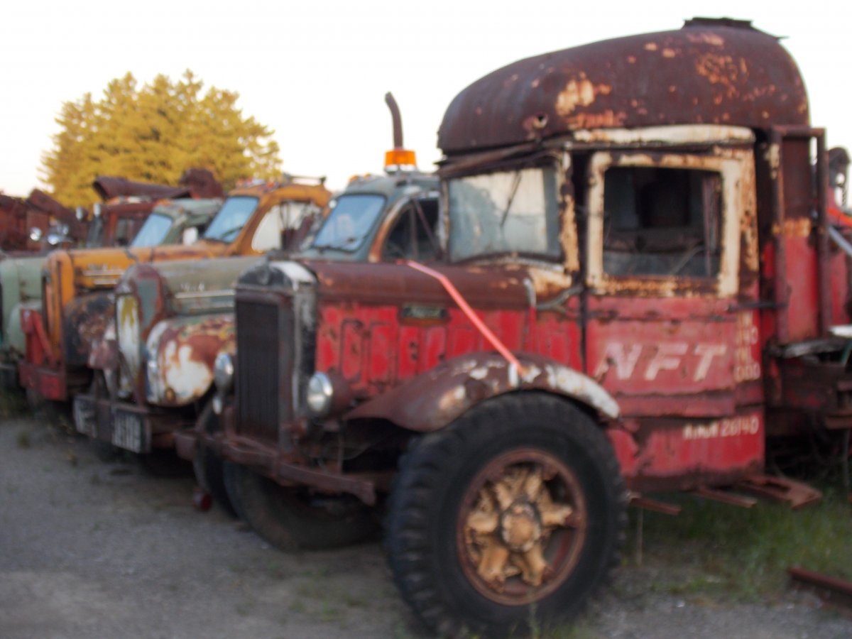 DSCN8181.JPG