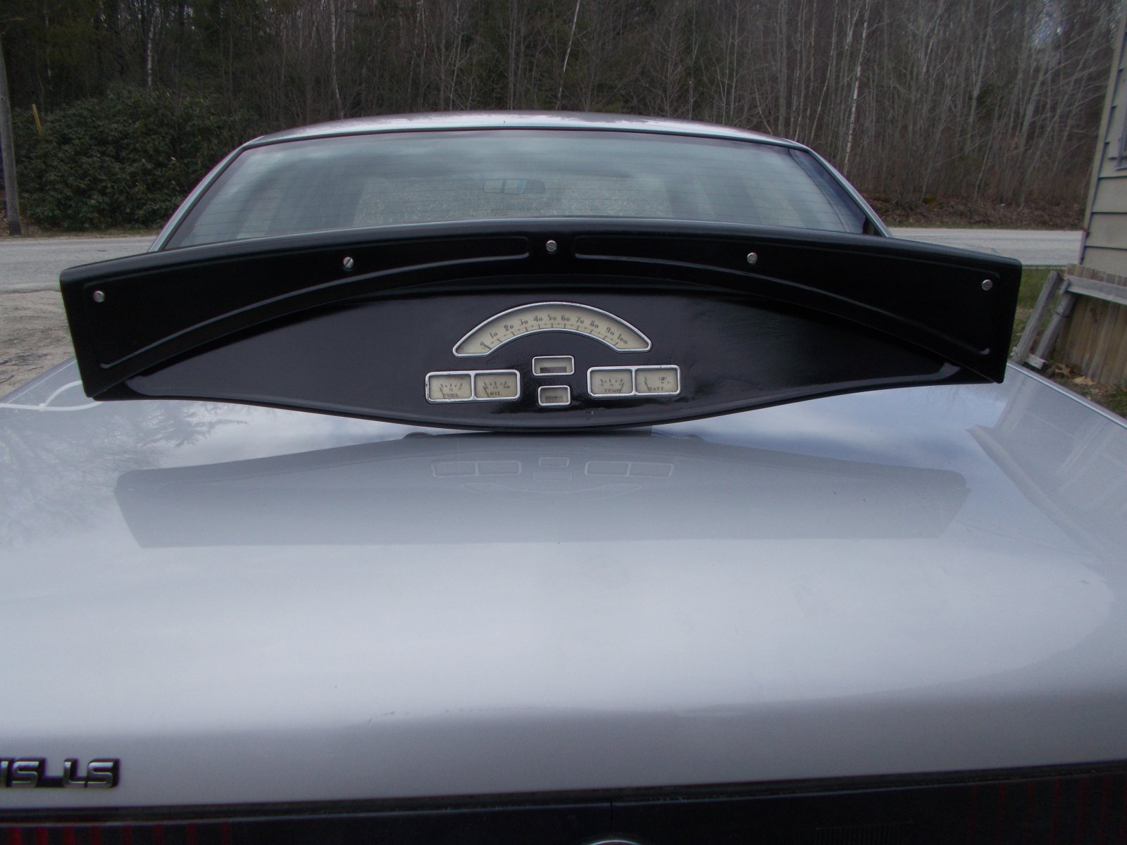 DSCN8182.JPG