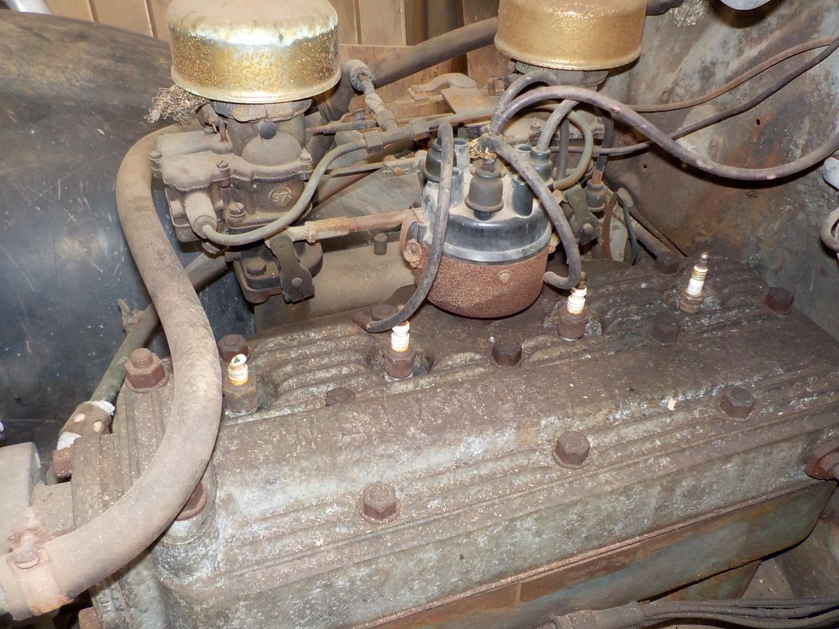 DSCN9785.JPG