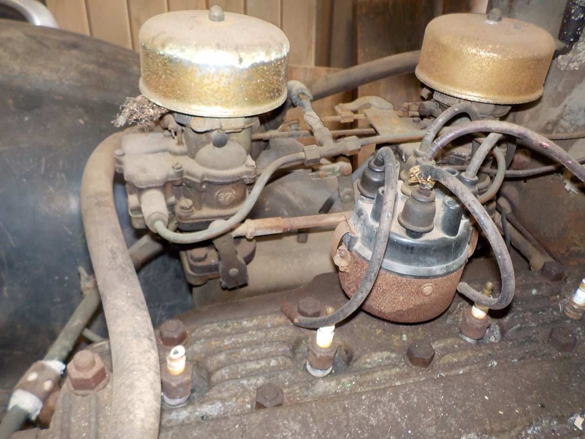 DSCN9786.JPG