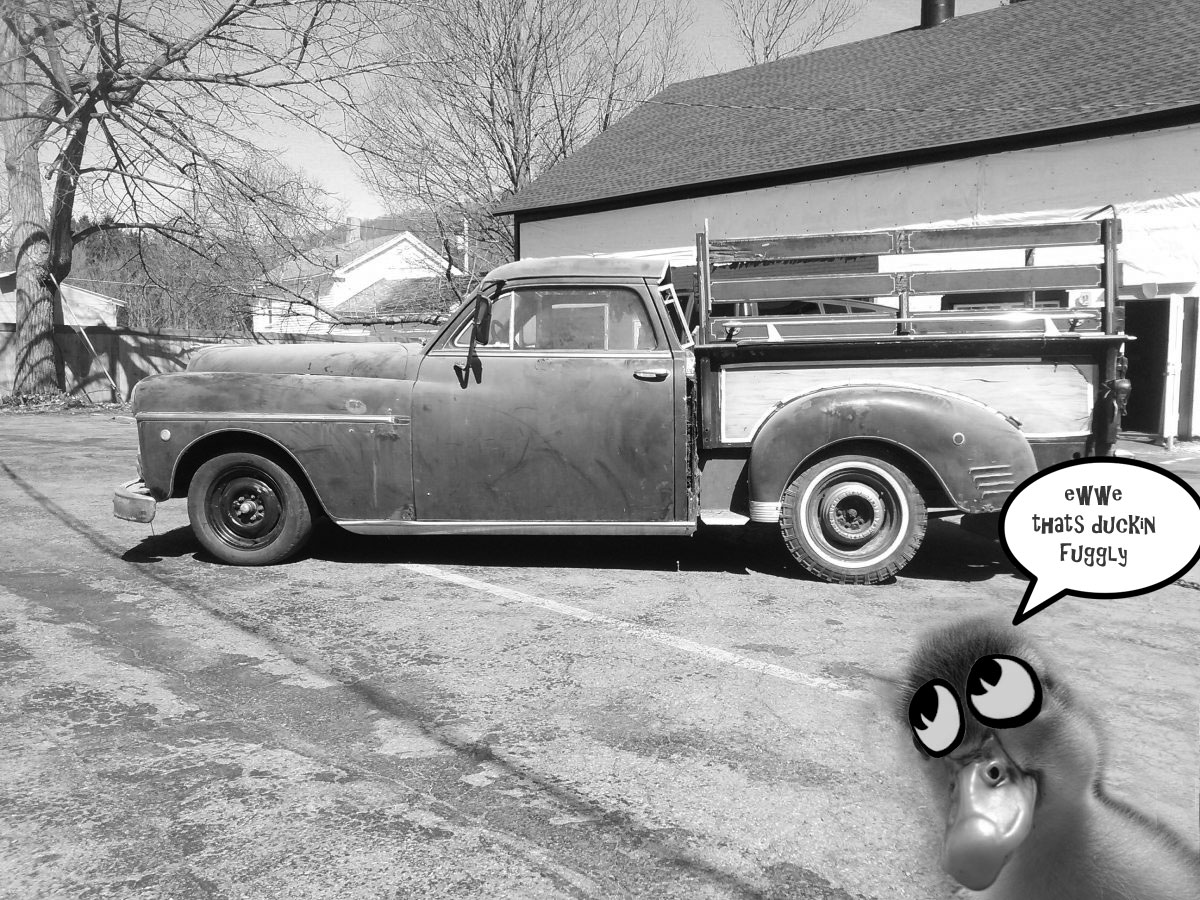 Duckin-Fuggly.jpg
