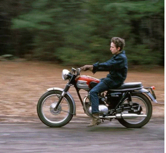 dylan.GIF
