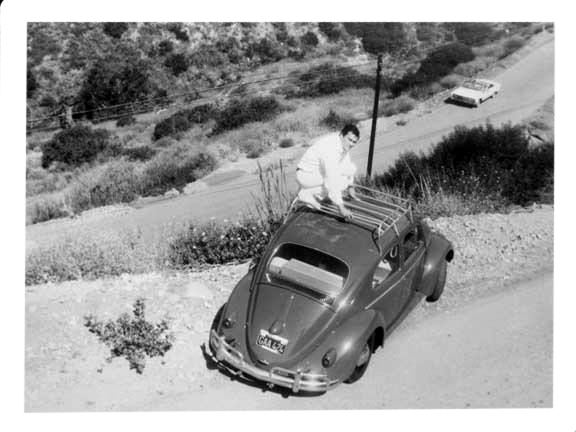 e vw.jpg