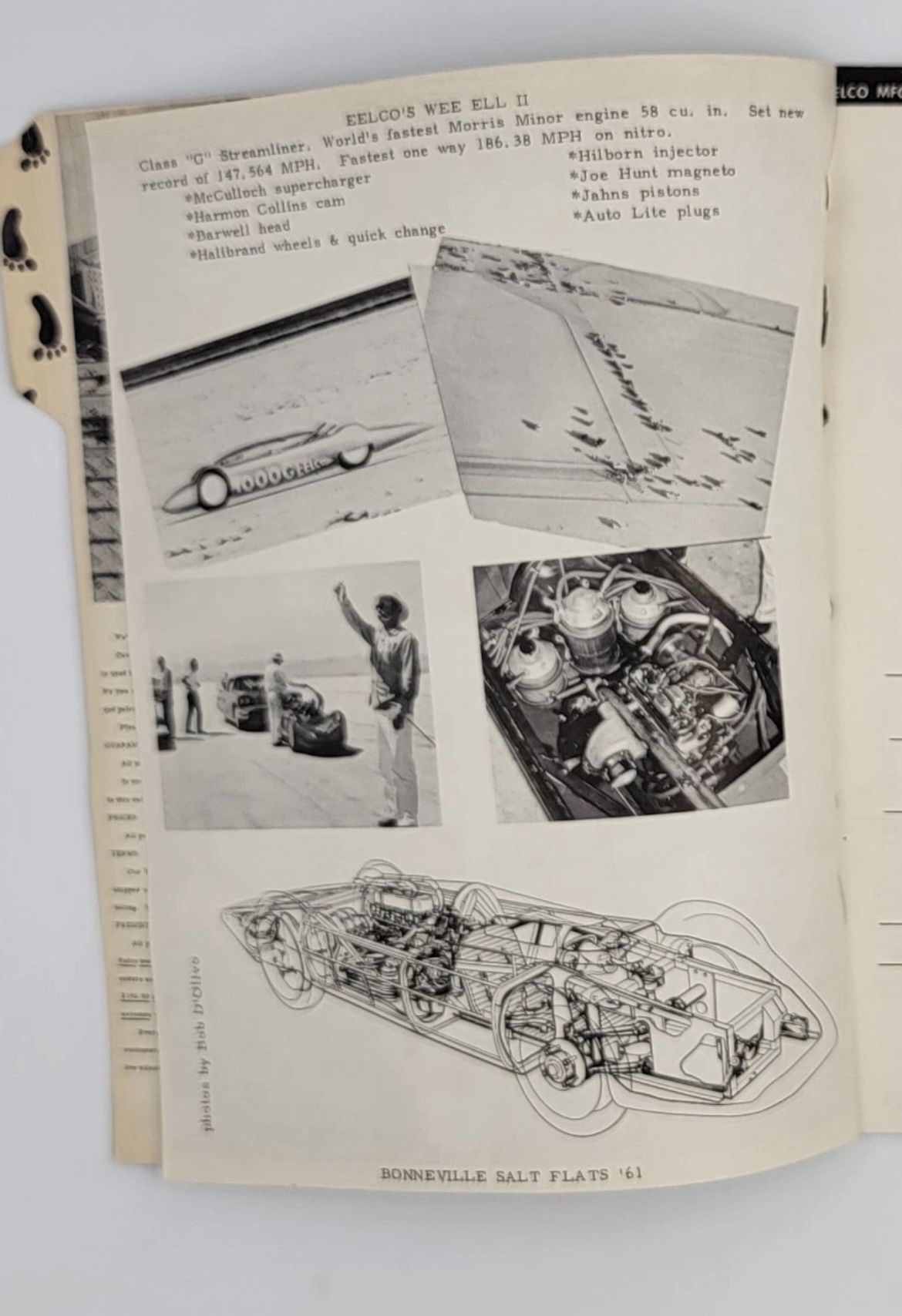 EELCO_CATALOG_PAGE_IMG_5821.jpeg