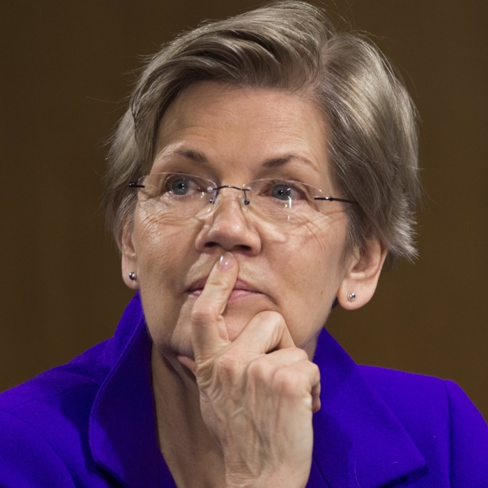 elizabeth-warren-dna-test.jpg