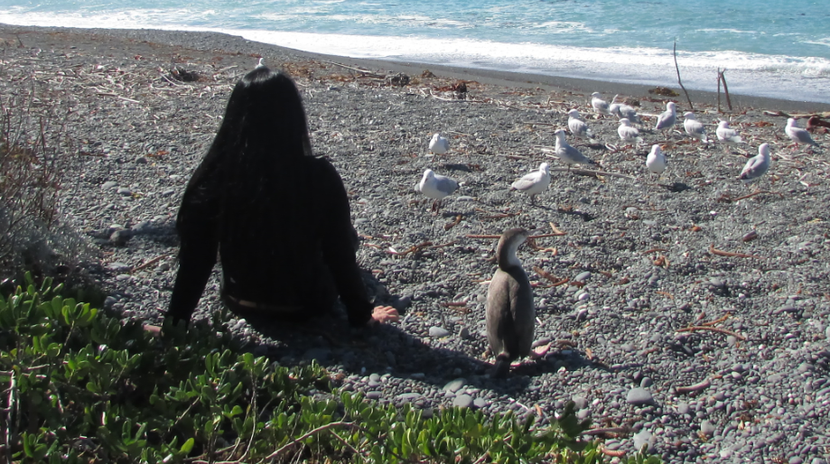 Enjoying the view with the locals.PNG