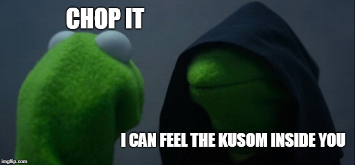 Evil Kermet.jpg