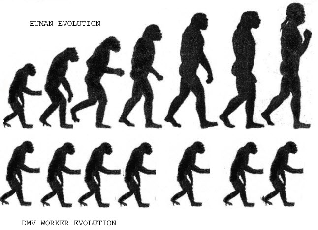 evolution.jpg