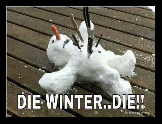 f0b16c30d0fbcaad20ae3e1b1deabe6fsnowman.jpg