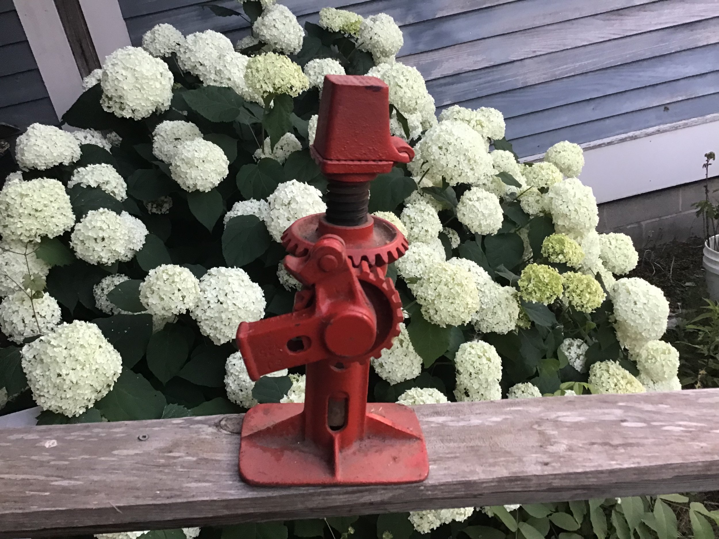 F0D27048-5424-4673-8E28-F038159E3319.jpeg