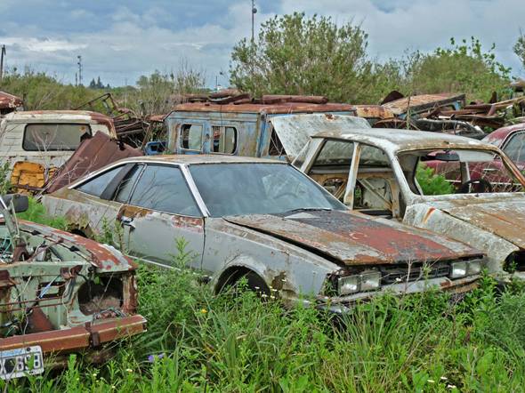 Falcon-Datsun-R12-copy.jpeg