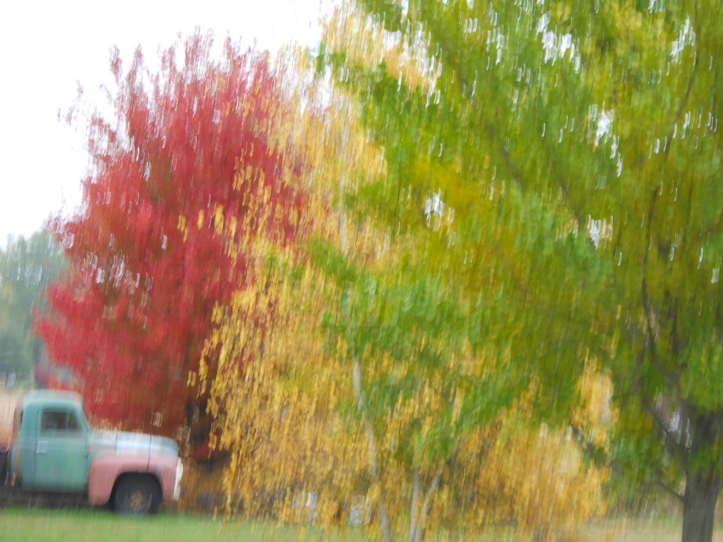 fall color 14 008.jpg