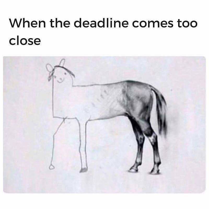 FB_IMG_1536587576282.jpeg