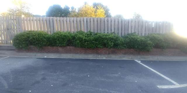 FB_IMG_1571172487407.jpg