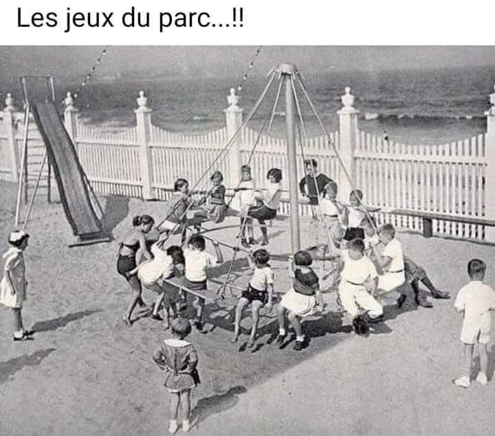 FB_IMG_1677474719106.jpg