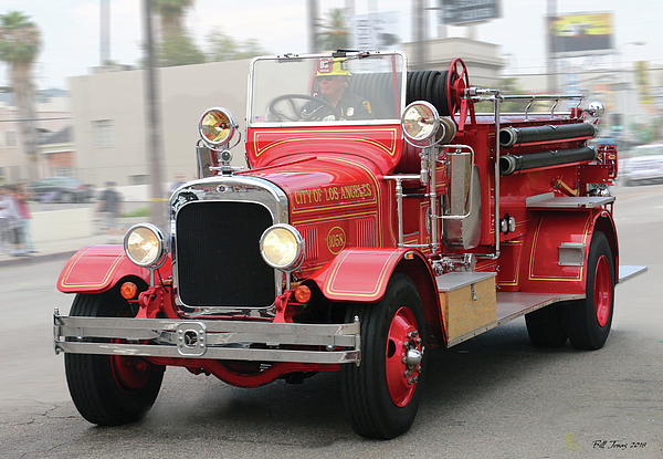 fd8.jpg
