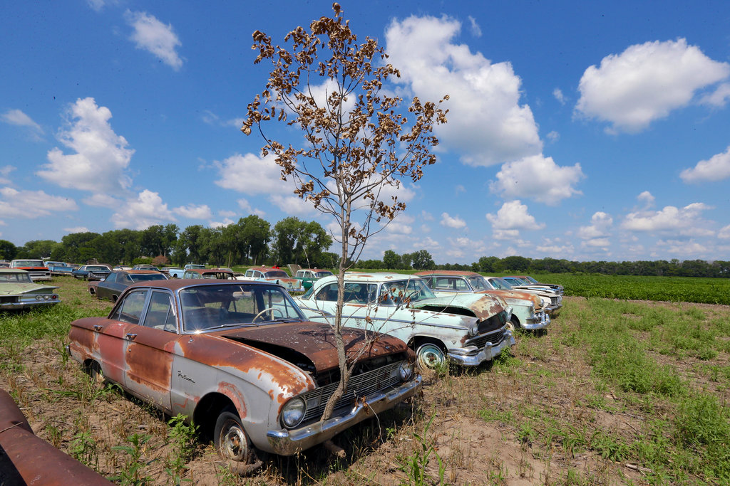 field cars Falcon.jpg