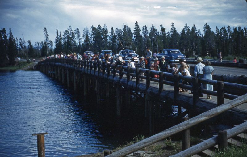 Fishing bridge, Yellowstone, 1951.jpeg