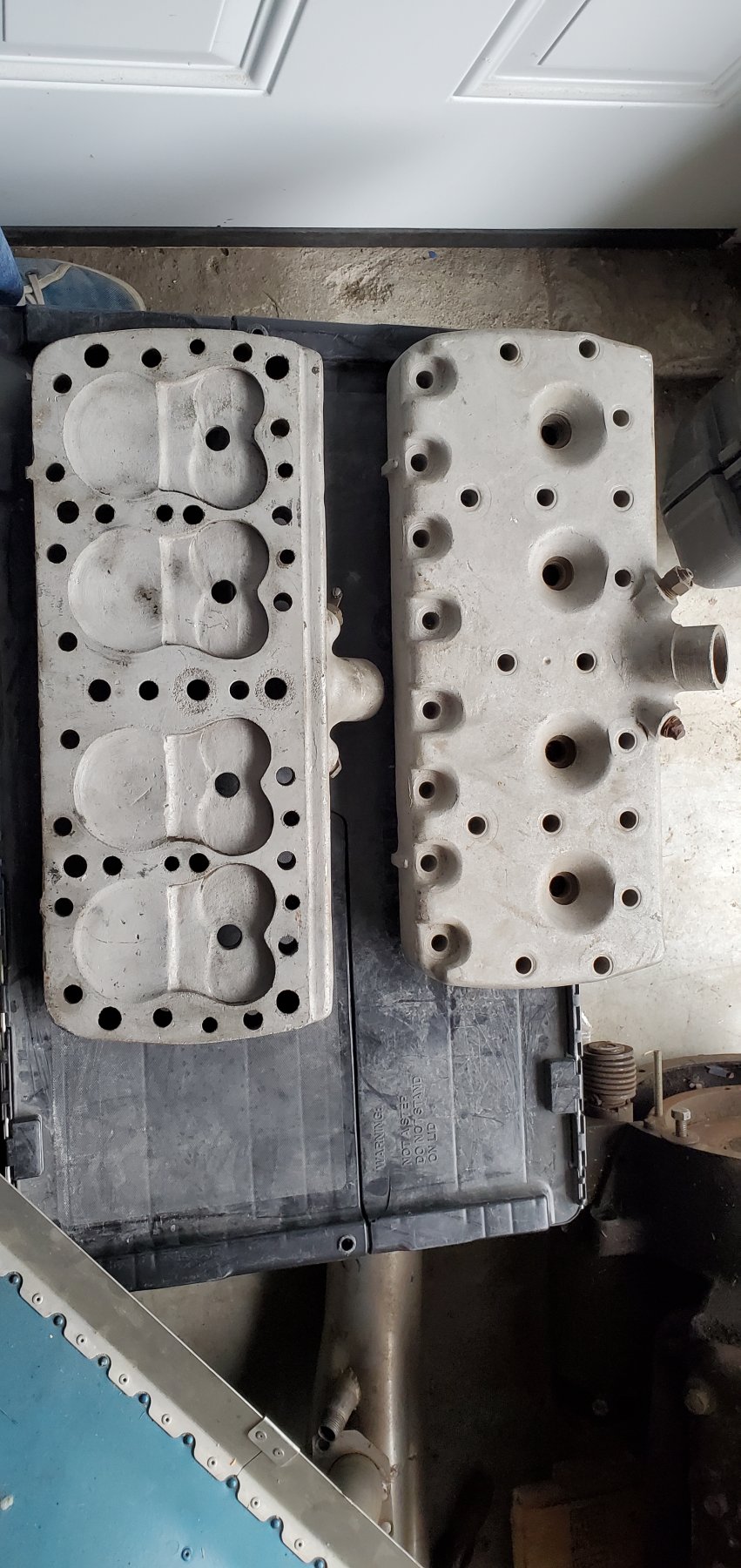flathead 1.jpg