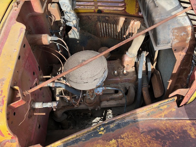 flathead 6.jpg