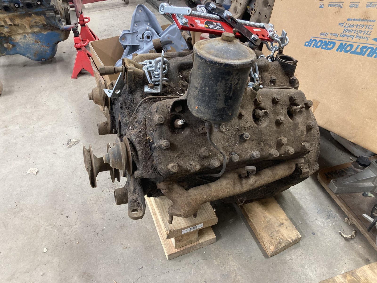 Flathead.JPEG