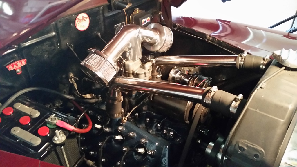 Flathead.jpg