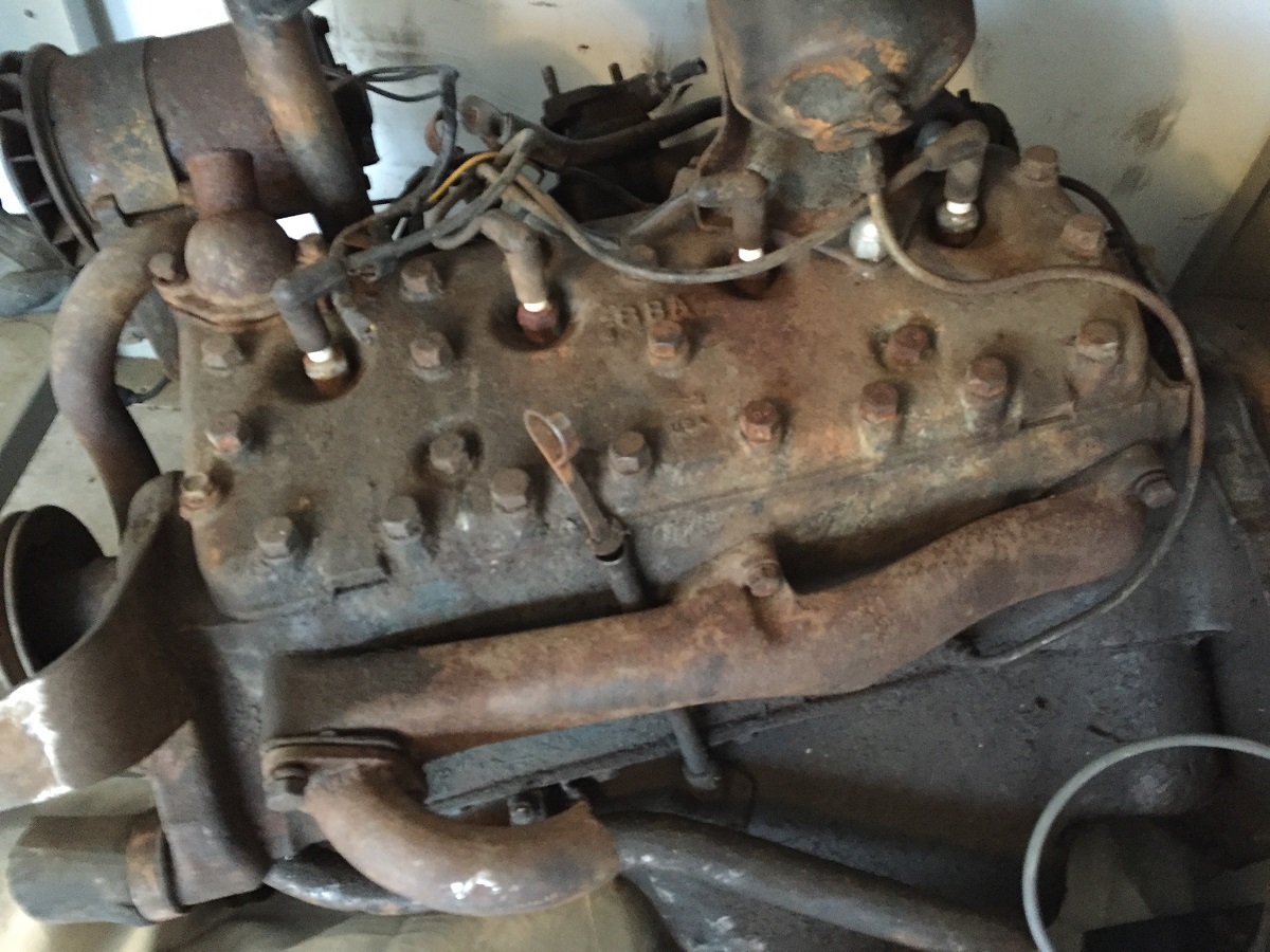 flathead.jpg