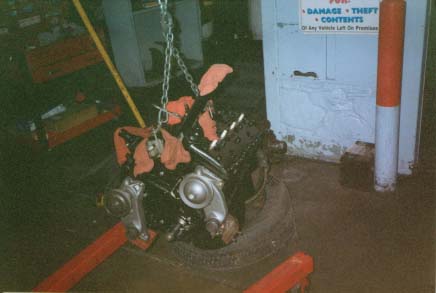 flathead.jpg