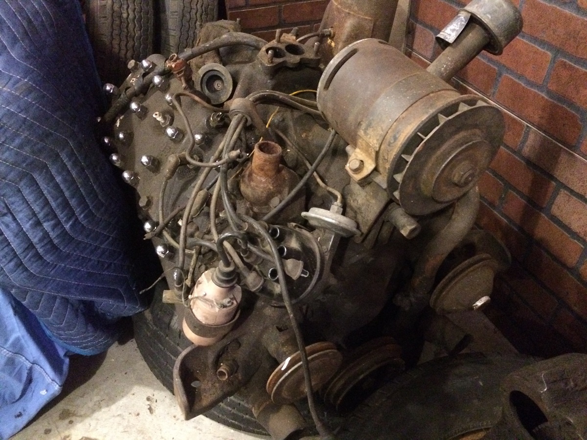 Flathead_2.jpg