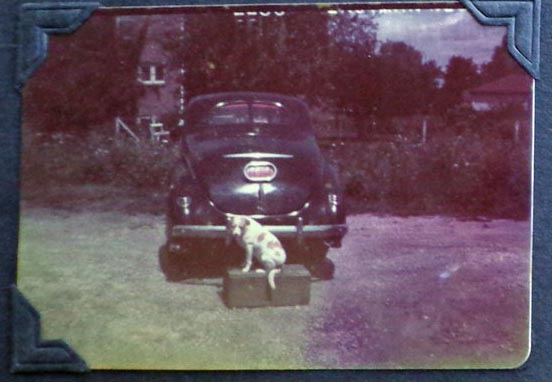 ford 21.jpg