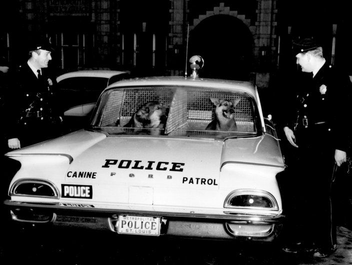 ford-police-police-cars.jpg