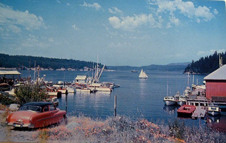 fridayharbor1.jpg