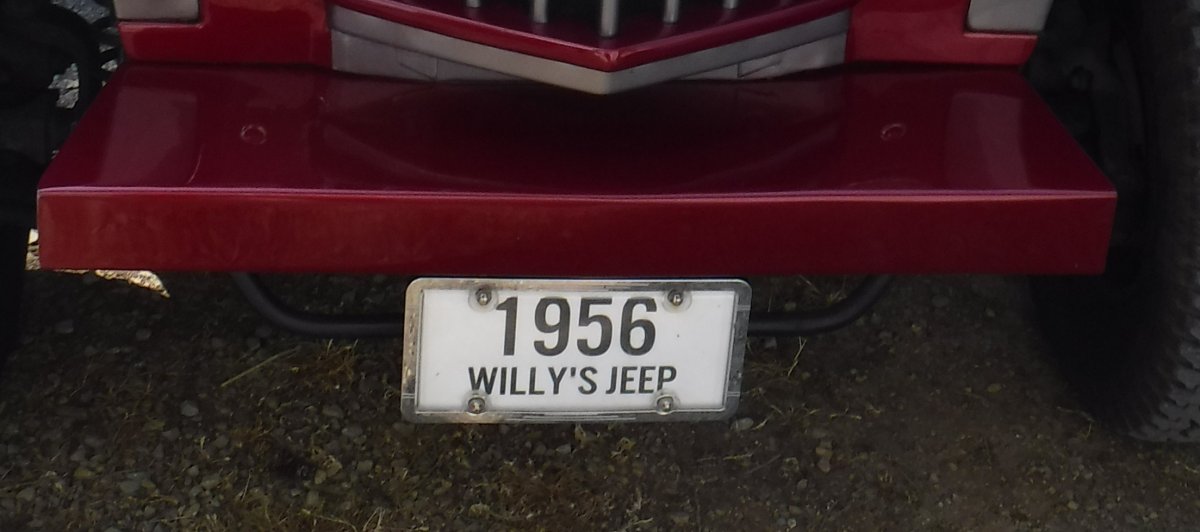 Front Lic Plate.JPG