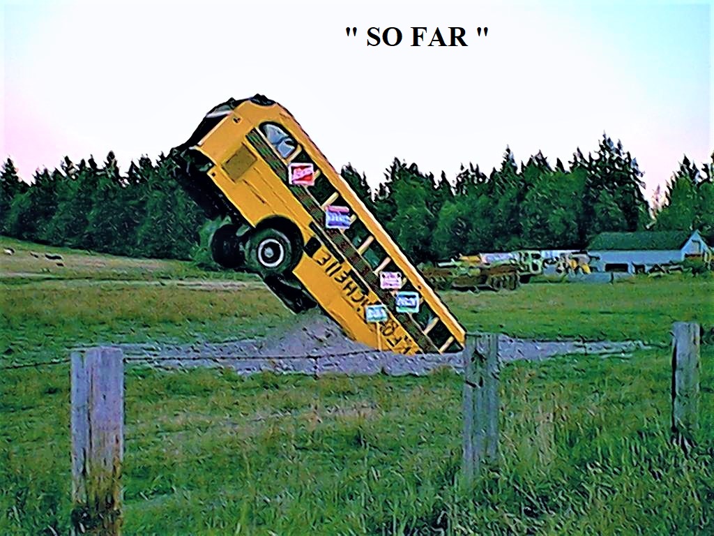 fun bus,02 (3).jpg