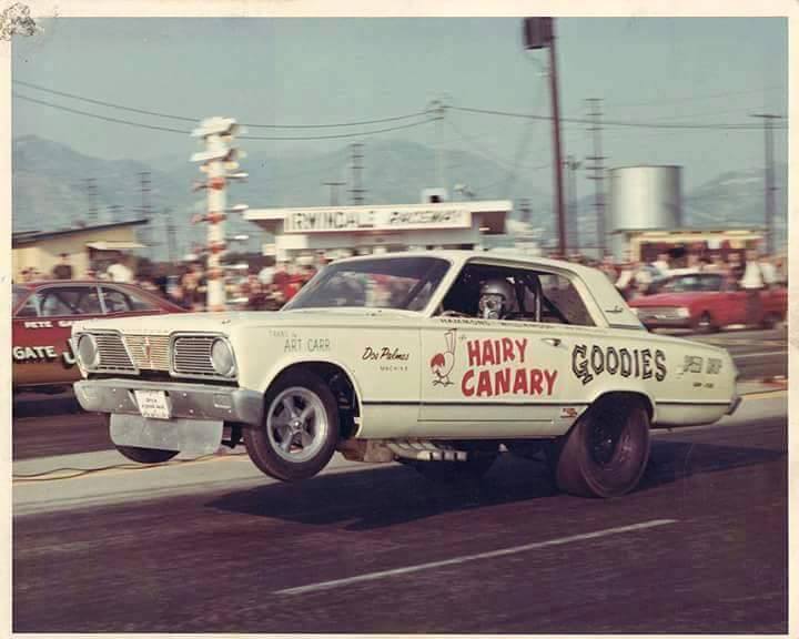 funny car hairy canary wheels up.jpg