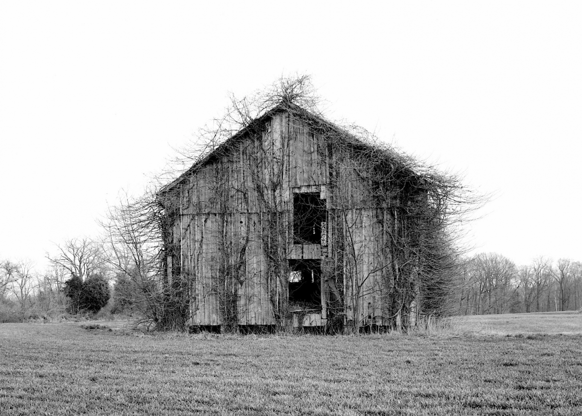 fuzzybarn.png